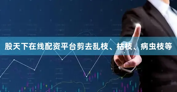 股天下在线配资平台剪去乱枝、枯枝、病虫枝等